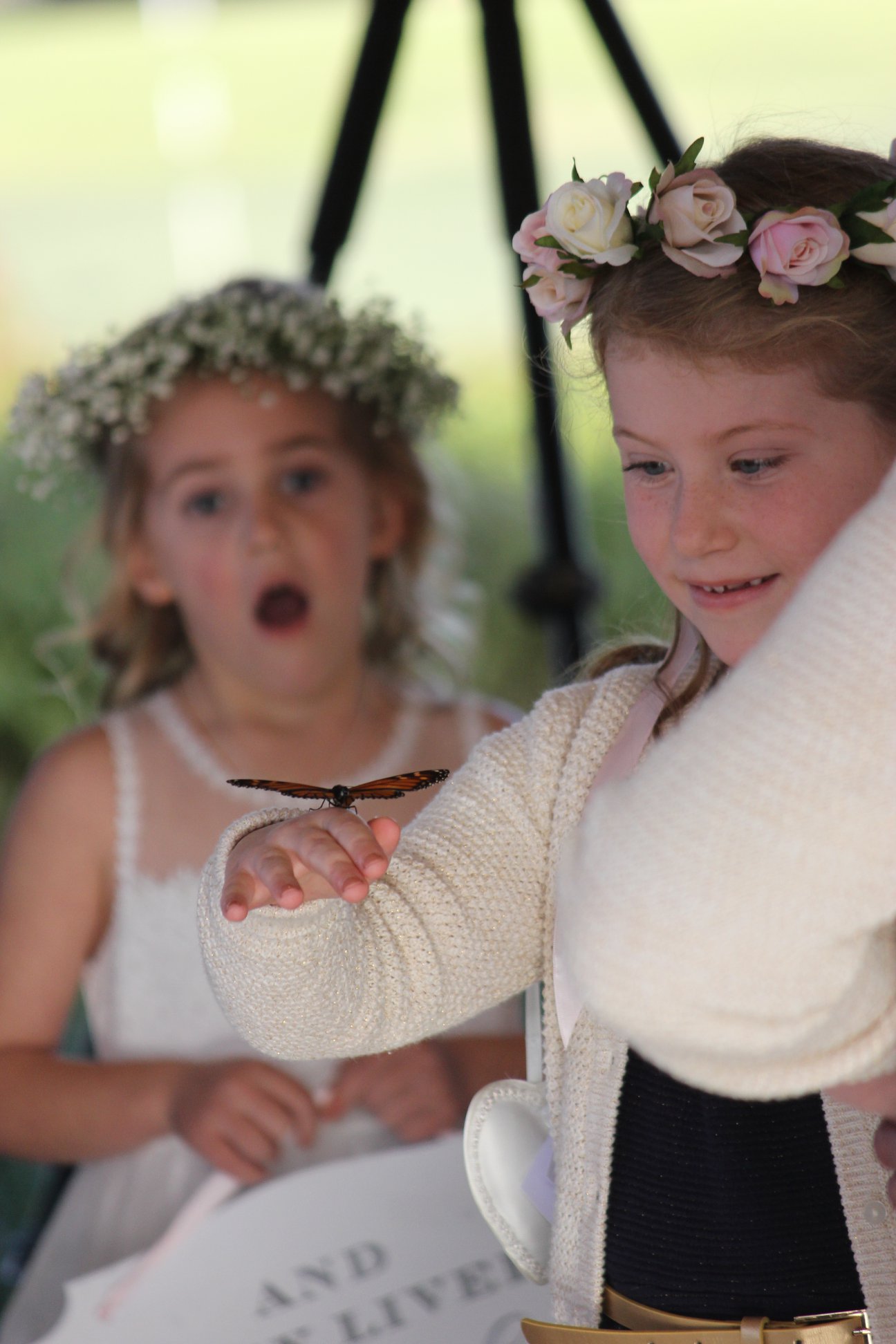 Flower girls amazed by a butterfly landing on a hand